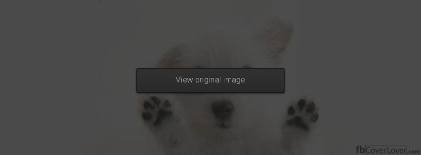Dog-On-Your-Screen-Facebook-Profile-Timeline-Cover.jpg (852×314)