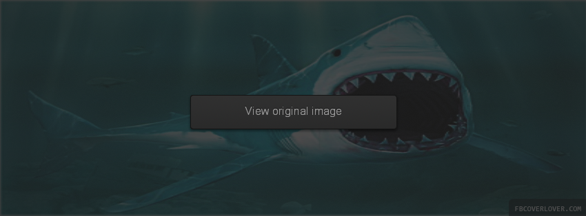 Shark-3D-FB-Facebook-Cover-Timeline.jpg (850×314)