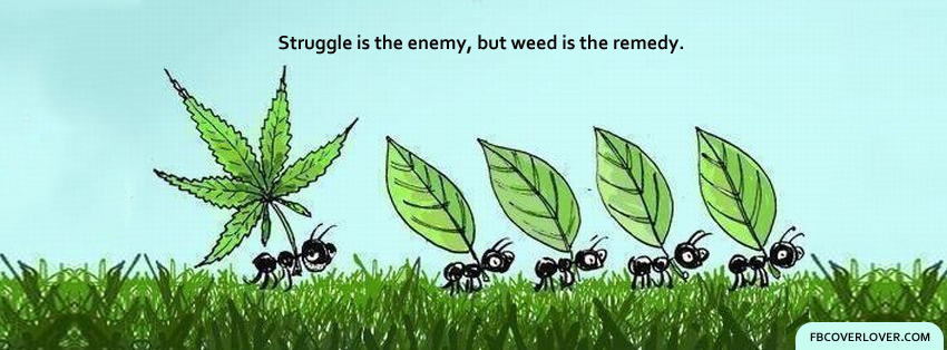Marijuana Quote Facebook Covers More Quotes Covers for Timeline