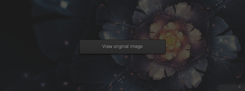 Artistic Flower Facebook Covers More Artistic Covers for Timeline