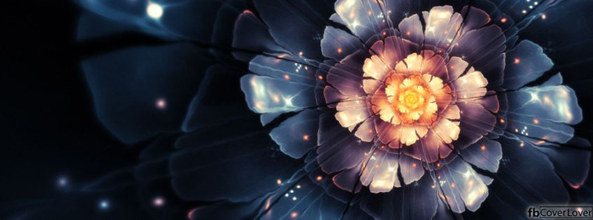 Artistic Flower Facebook Covers More Artistic Covers for Timeline