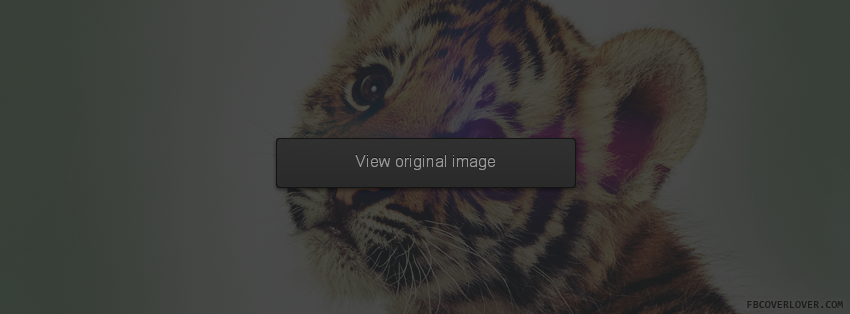 Baby Tiger Facebook Covers More Animals Covers for Timeline