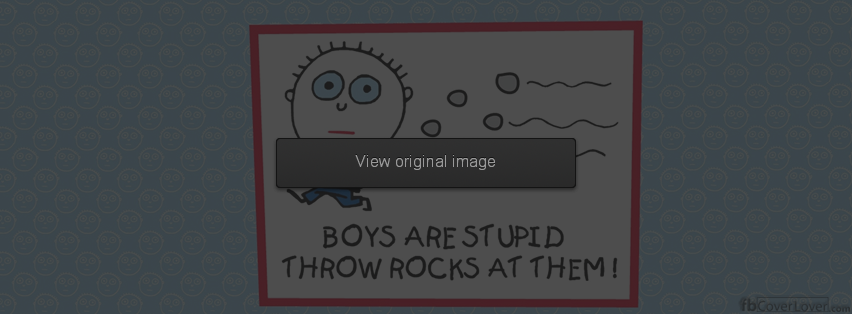 boys are stupid, throw rocks at them Facebook Covers More Funny Covers for Timeline