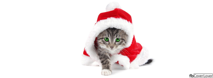 Christmas Kitten Facebook Covers More Holidays Covers for Timeline