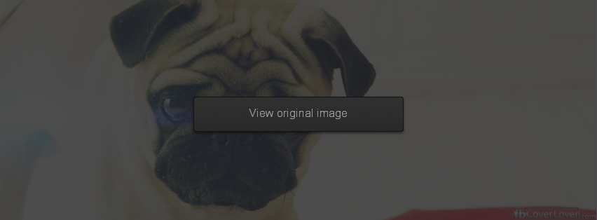 Cute Doggie Pup Facebook Covers More Animals Covers for Timeline