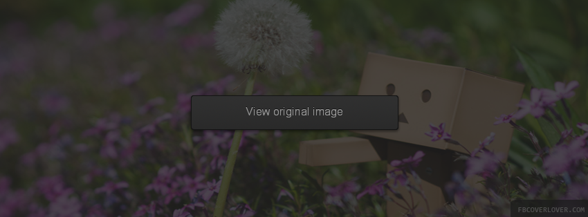 Danboard Flower Facebook Covers More Cute Covers for Timeline