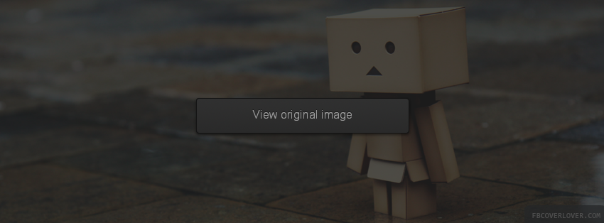 Danboard 3 Facebook Covers More Miscellaneous Covers for Timeline