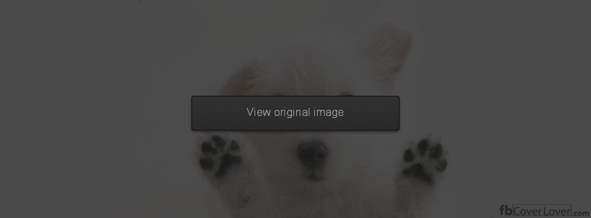 Dog on your screen Facebook Covers More Animals Covers for Timeline