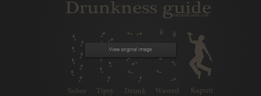 Drunkness Guide Facebook Covers More Funny Covers for Timeline