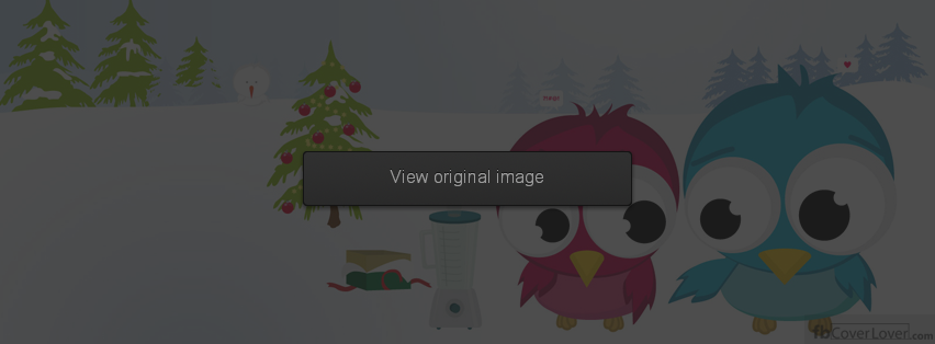 funny birds  Facebook Covers More Funny Covers for Timeline