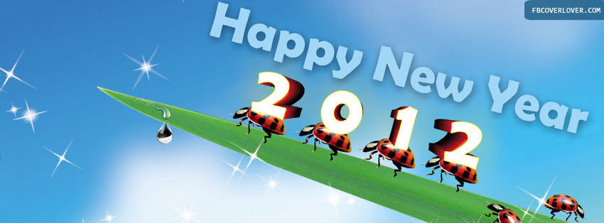 Happy New Year 2012 Ladybugs Facebook Timeline  Profile Covers