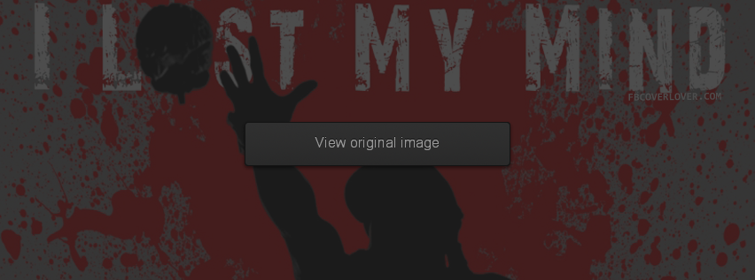 I Lost My Mind Facebook Covers More Miscellaneous Covers for Timeline
