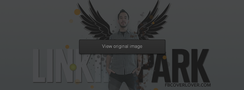 Mike Shinoda Facebook Covers More Celebrity Covers for Timeline