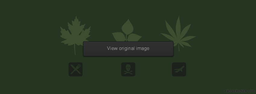 Leaf Types Facebook Covers More Miscellaneous Covers for Timeline