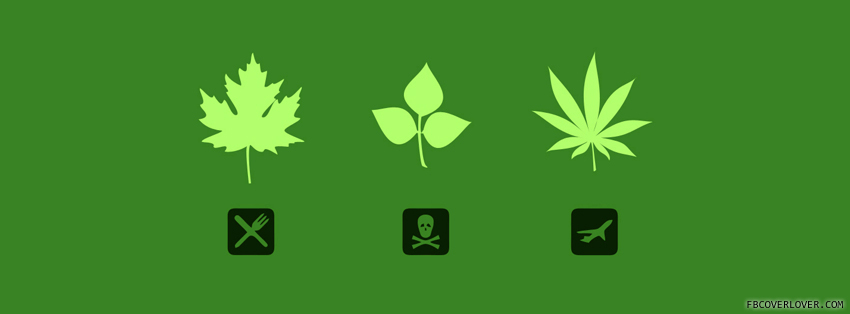 Leaf Types Facebook Covers More Miscellaneous Covers for Timeline