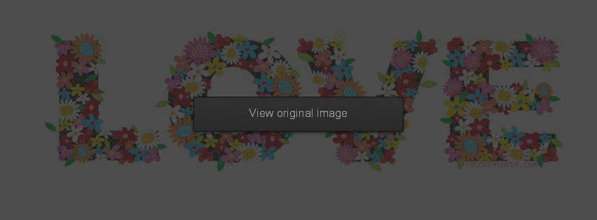 Love Flowers Facebook Covers More Love Covers for Timeline