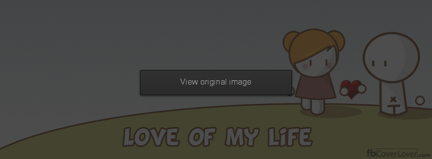 Love of my life Facebook Covers More Love Covers for Timeline