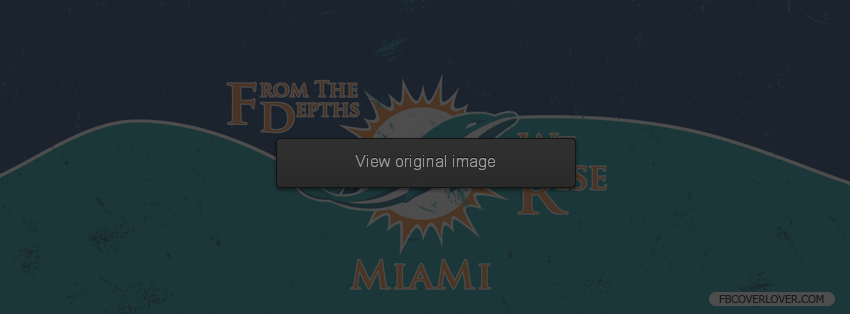 Miami Dolphins 2013 2 Facebook Covers More football Covers for Timeline