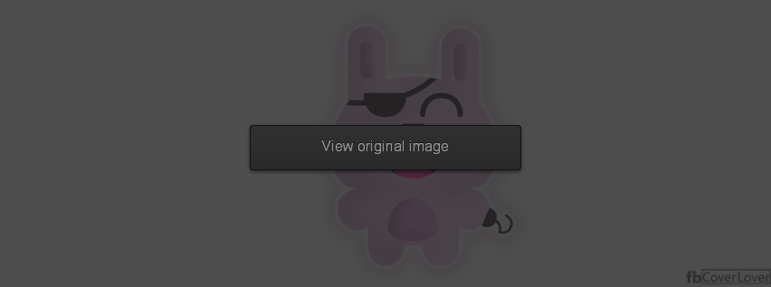 Pirate Bunny Facebook Covers More Cartoons Covers for Timeline