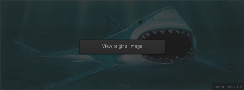 Shark 3D Facebook Covers More Animals Covers for Timeline