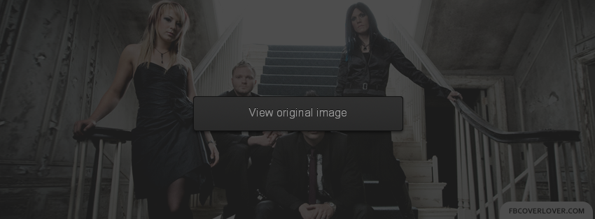Skillet 2 Facebook Covers More Music Covers for Timeline