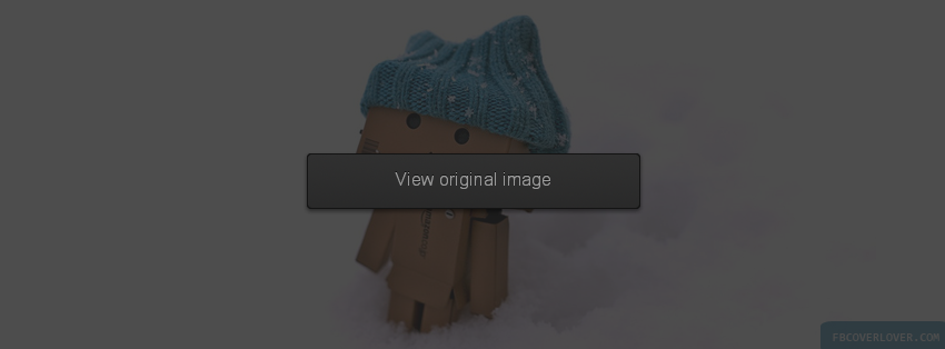 Snow Danboard  Facebook Covers More Miscellaneous Covers for Timeline