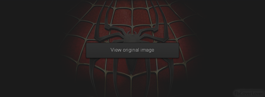 Spiderman Movie Facebook Covers More Movies_TV Covers for Timeline