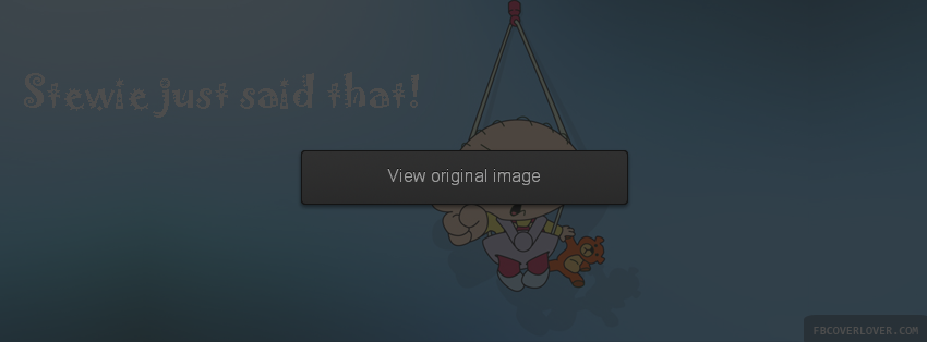 Stewie Just Said That Facebook Covers More Movies_TV Covers for Timeline