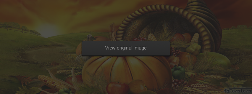 Thanksgiving Decorations Facebook Covers More Holidays Covers for Timeline