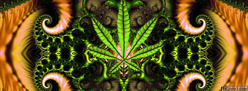 Trippy Weed Facebook Timeline  Profile Covers