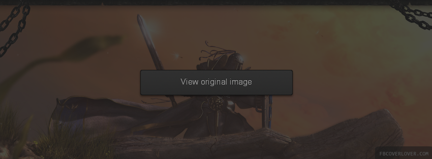 Warcraft 2 Facebook Covers More Video_Games Covers for Timeline