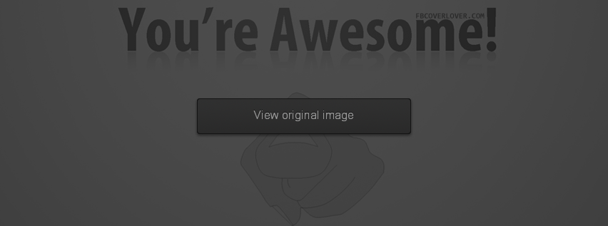 You are Awesome! Facebook Covers More Miscellaneous Covers for Timeline