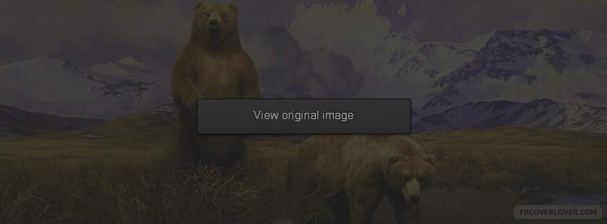 Alaskan Brown Bear Facebook Covers More Animals Covers for Timeline