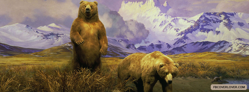 Alaskan Brown Bear Facebook Covers More Animals Covers for Timeline