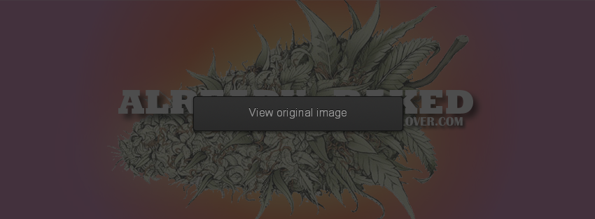 Already Baked Facebook Covers More Miscellaneous Covers for Timeline
