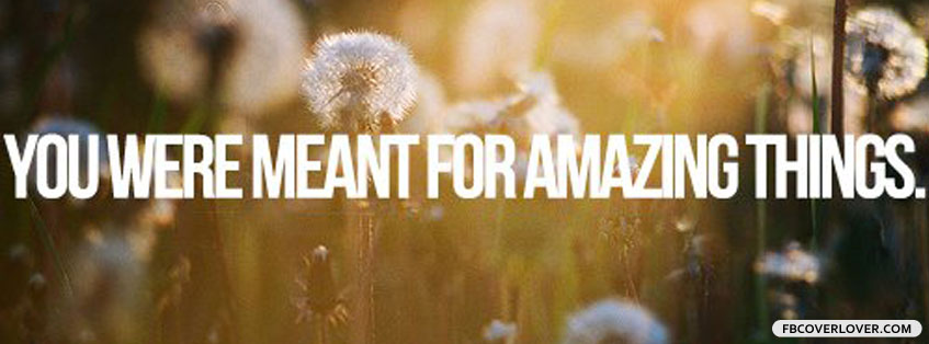 You Were Meant For Amazing Things Facebook Covers More Life Covers for Timeline