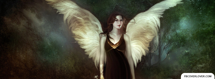 Angel Wings Facebook Covers More Miscellaneous Covers for Timeline