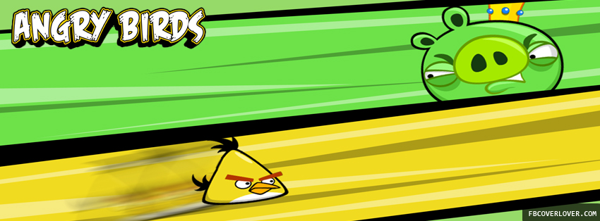 Angry Birds 2 Facebook Covers More Video_Games Covers for Timeline