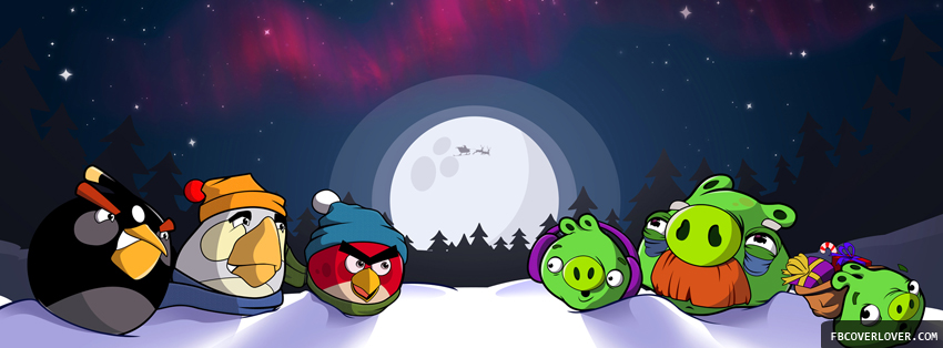 Seasonal Angry Birds Facebook Timeline  Profile Covers