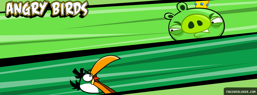 Angry Birds 5 Facebook Covers More Video_Games Covers for Timeline