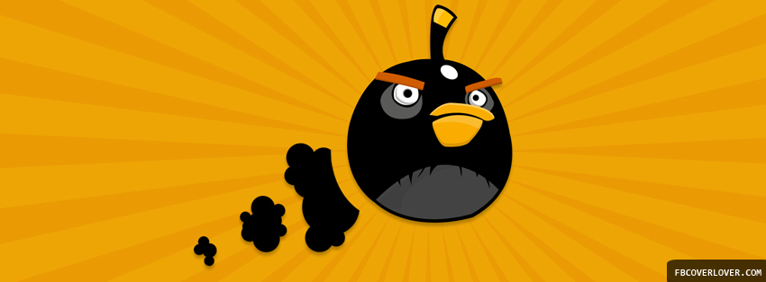 Black Angry Bird Facebook Covers More Video_Games Covers for Timeline