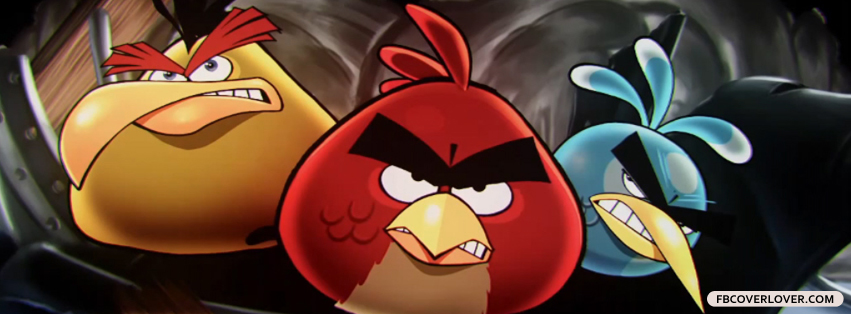 Angry Birds Rio Facebook Timeline  Profile Covers