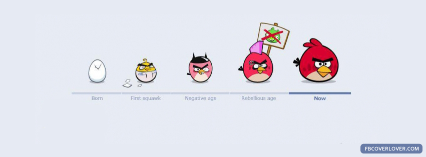 Angry Birds Timeline Facebook Covers More Funny Covers for Timeline