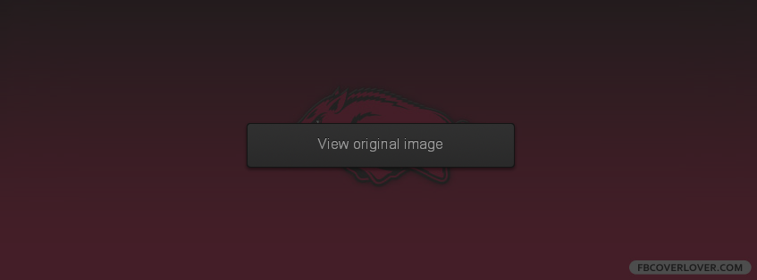 Arkansas Razorbacks 2 Facebook Covers More Football Covers for Timeline
