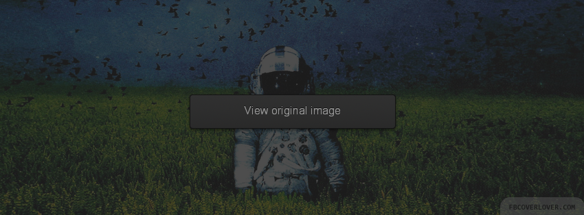 Astronaut Facebook Covers More Miscellaneous Covers for Timeline