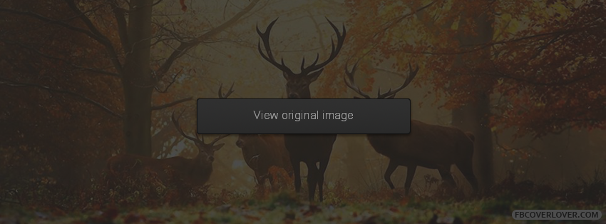 Autumn Forest Deer Facebook Covers More seasonal Covers for Timeline
