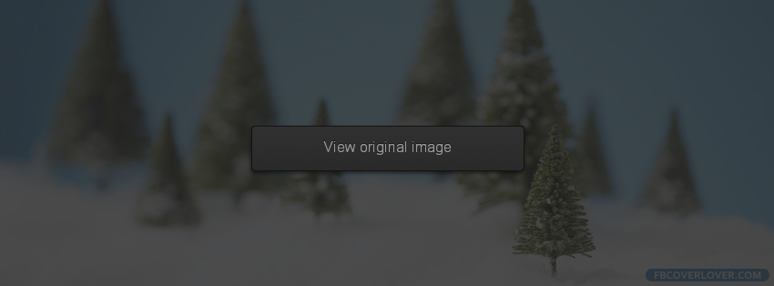 Beautiful Winter Snowy Forest 3 Facebook Covers More Seasonal Covers for Timeline