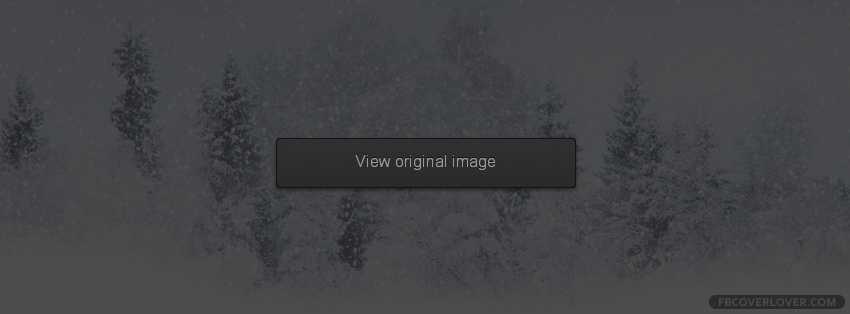Beautiful Winter Snowy Forest Facebook Covers More Seasonal Covers for Timeline