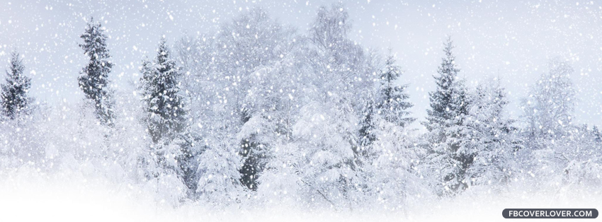 Beautiful Winter Snowy Forest Facebook Cover ...