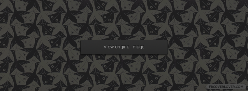 MC Escher Illusion Facebook Covers More Miscellaneous Covers for Timeline